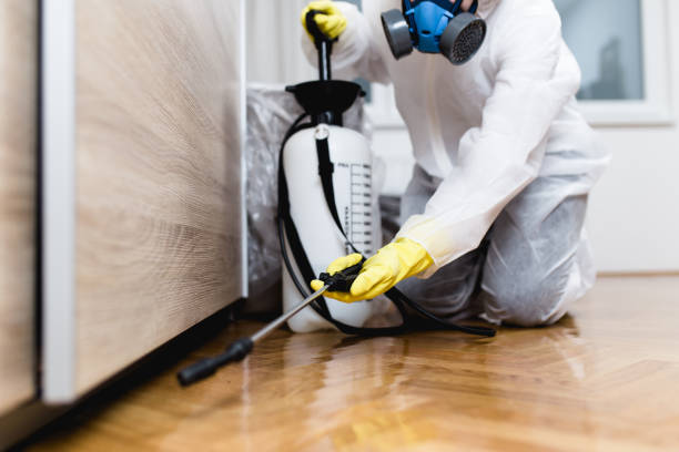 Best Pest Inspection Near Me  in Ama, LA