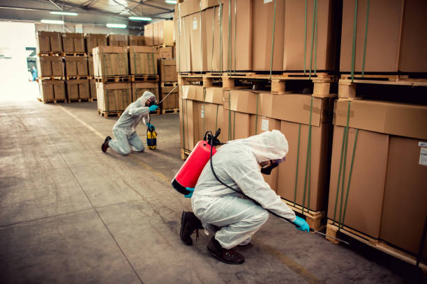 Best Affordable Pest Control Services  in Ama, LA