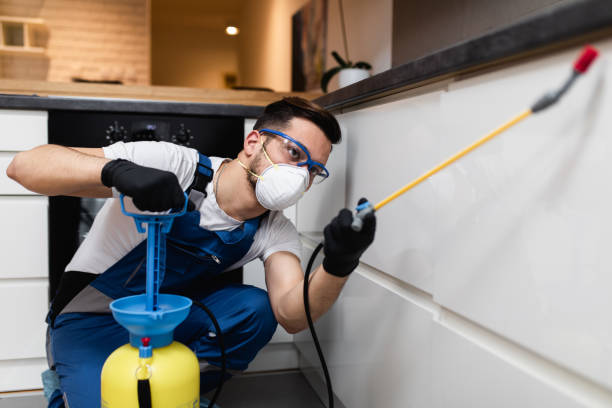 Trusted Ama, LA Pest Control Experts