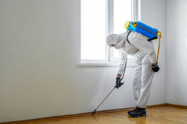 Best Bed Bug Extermination  in Ama, LA