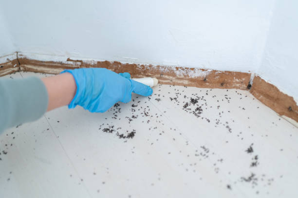 Best Wildlife Control Services  in Ama, LA